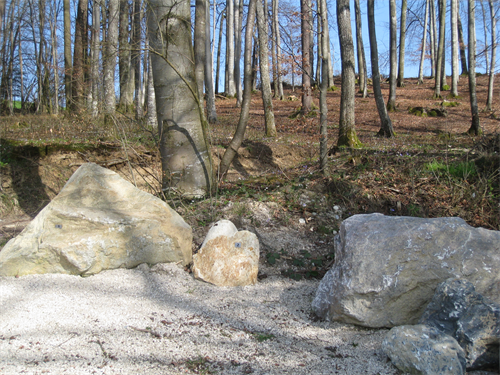 eine Nahaufnahme eines Felsens neben einem Baum